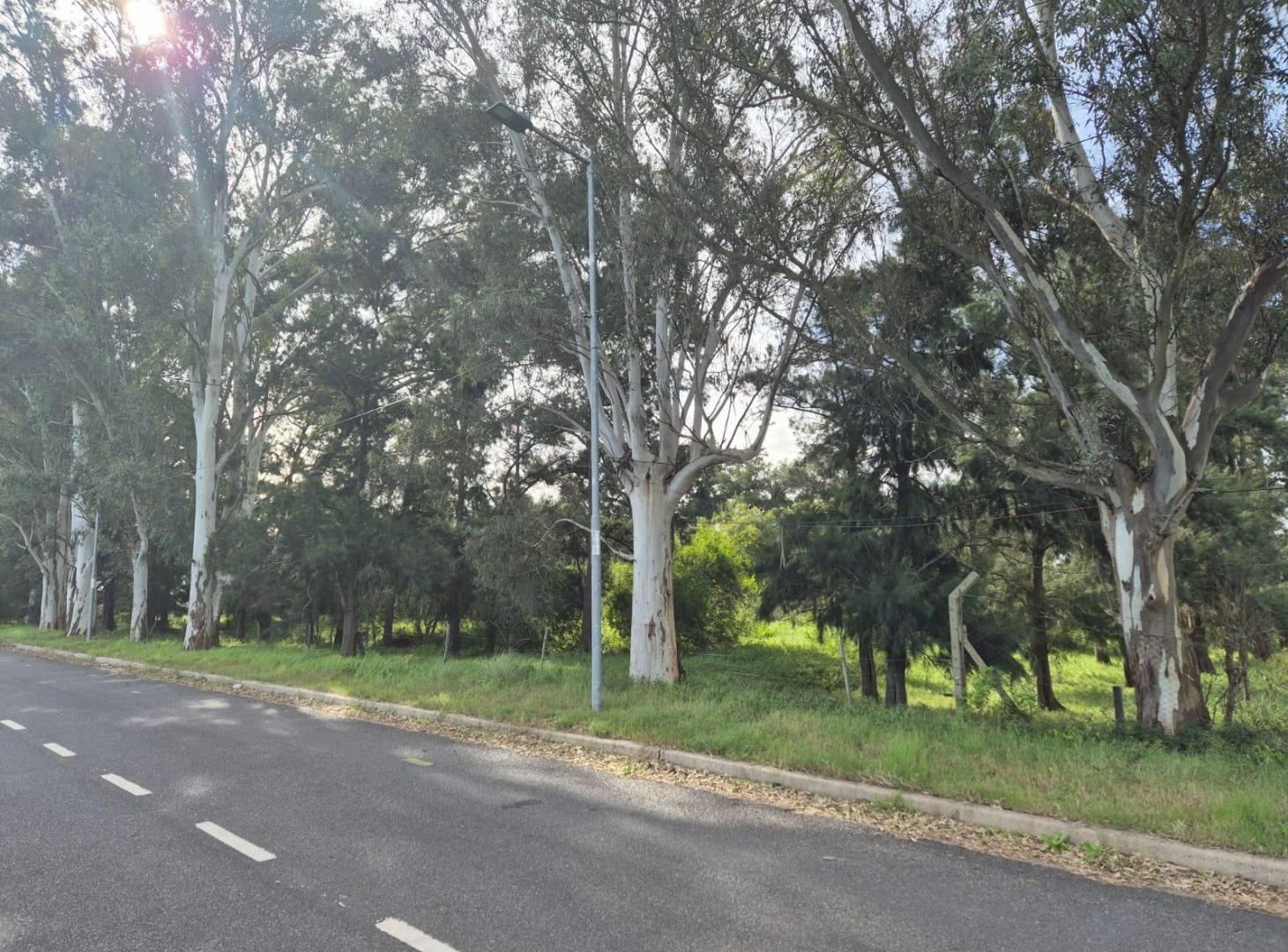 Foto de Local en pleno Foco comercial de Del Viso eje Panamericana, imagen 4