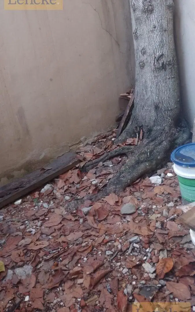 Olivos, Avenida Uzal casi Paraná, local en alquiler apto todo destino, ideal gastonomia 5