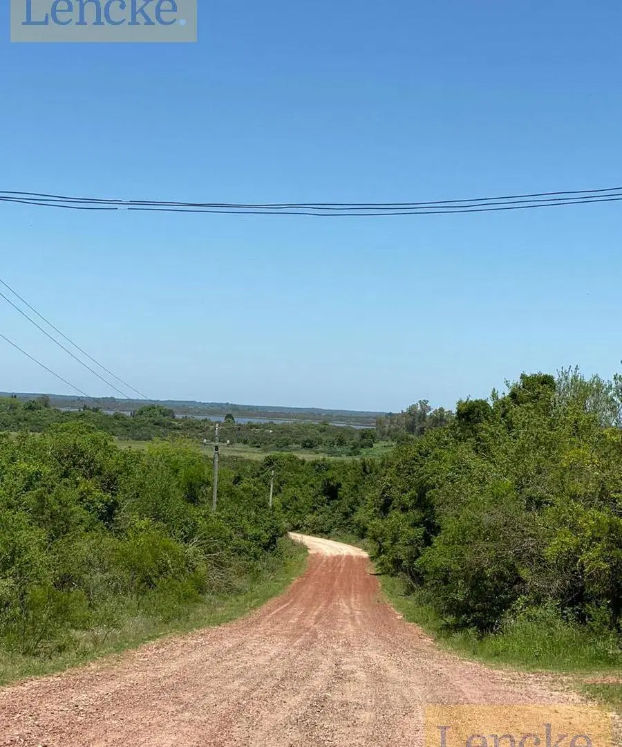 Campo en Zagarzazu 4