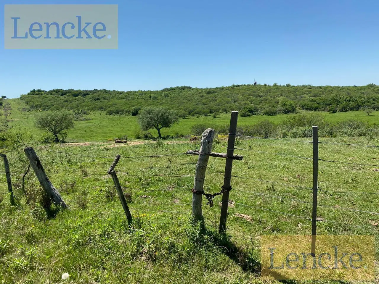Campo en Zagarzazu 5