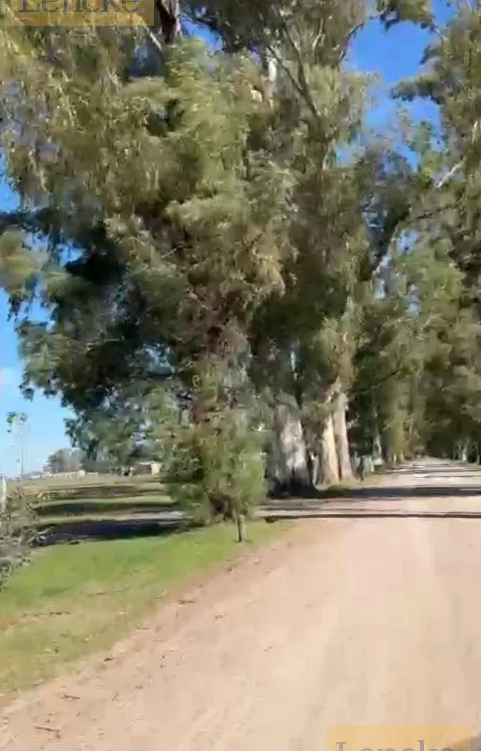 Muy buen lote en venta, Villa de campo Los Tres Pinos de General Rodriguez 5