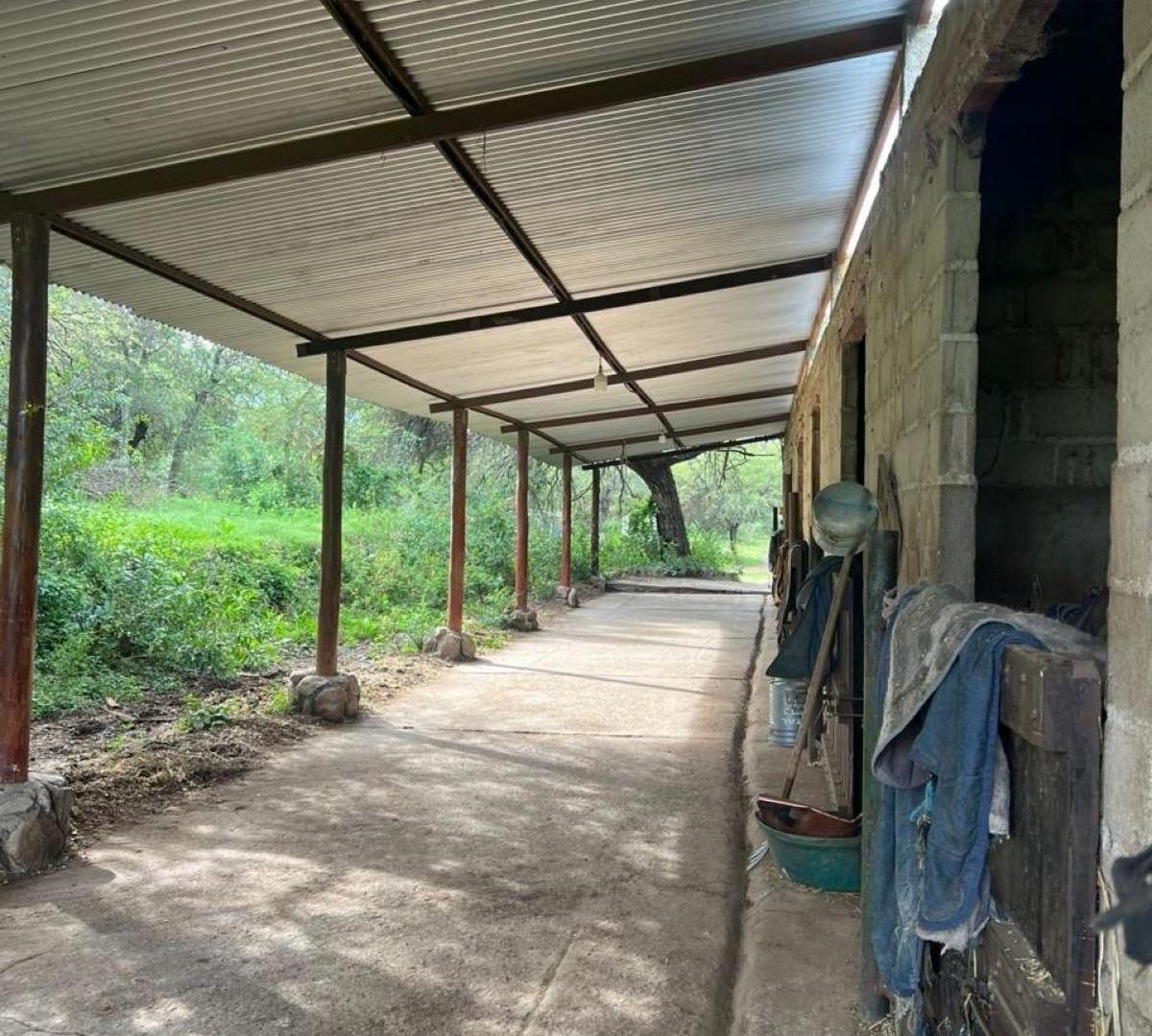 Foto de Hipico, terreno con casa y dos locales comerciales,, imagen 4