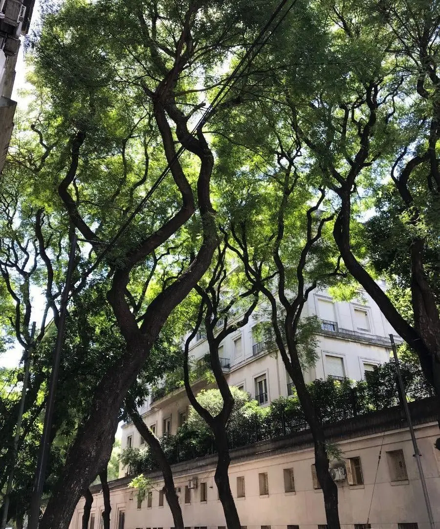 EDIFICIO FRANCES Departamento en PB en alquiler en Palermo Chico 3