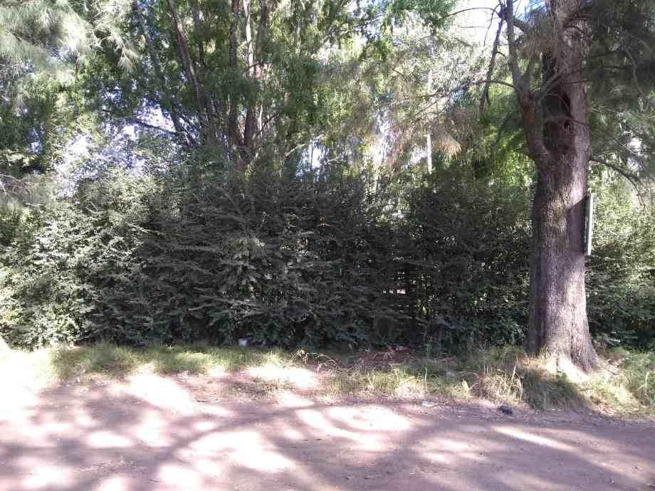 Foto de Lote en Venta en Moreno Norte, imagen 2
