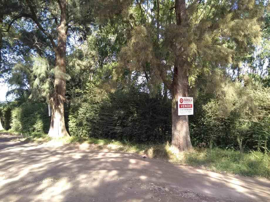 Foto de Lote en Venta en Moreno Norte, imagen 3