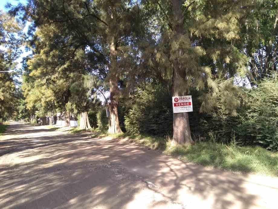 Foto de Lote en Venta en Moreno Norte, imagen 4