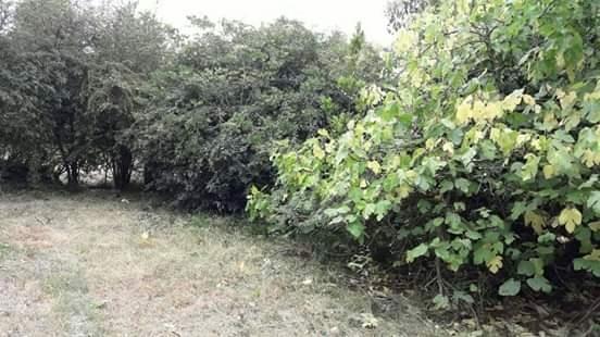 Foto de Lote en Venta en La Reja, imagen 4