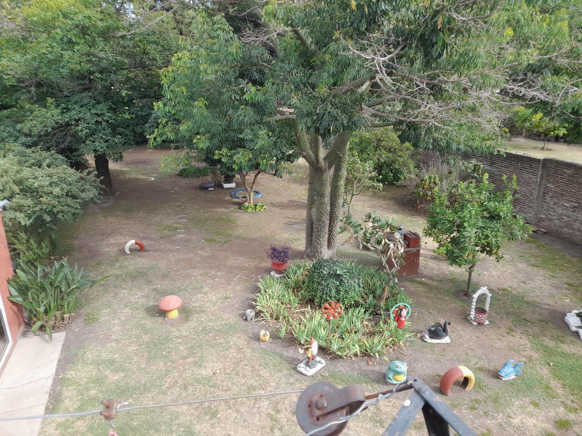 Foto de Vende Inmueble sobre Ruta 21 - Curva la Teja, imagen 3