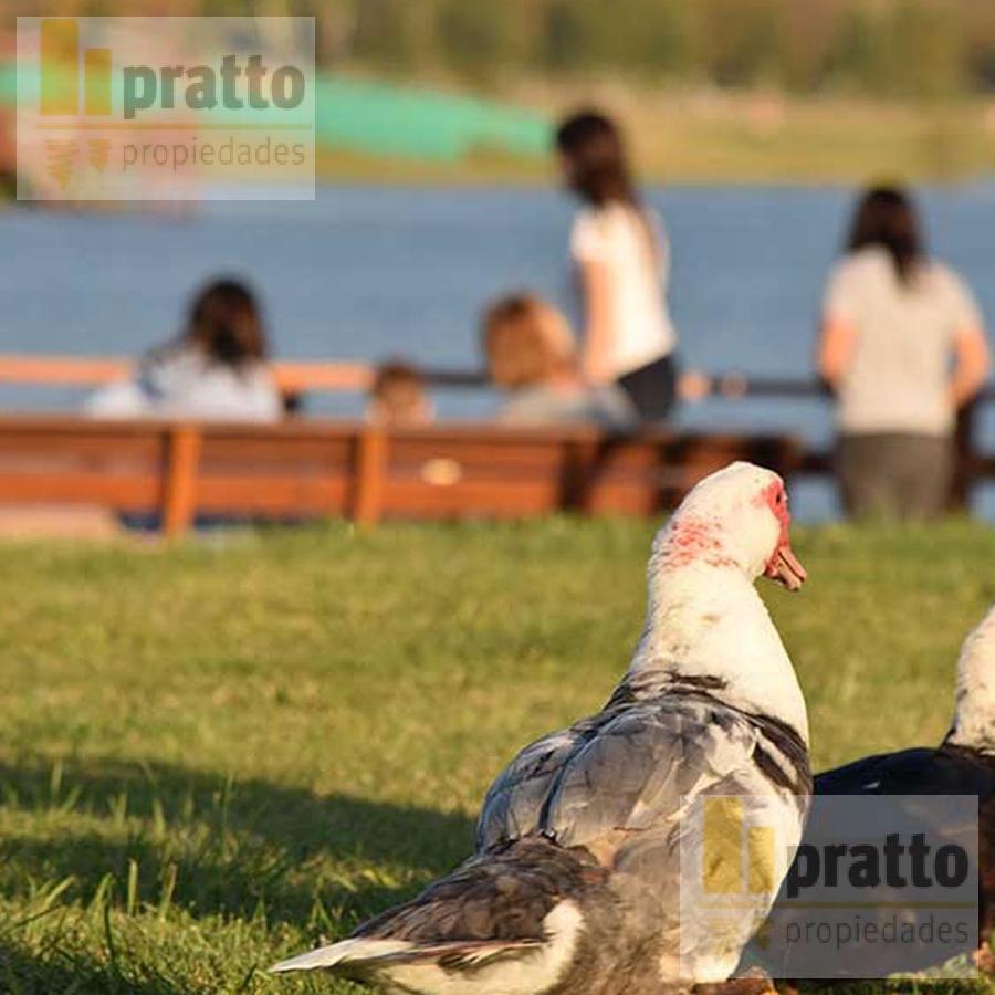 Foto de Lote en venta en San Matias, imagen 3