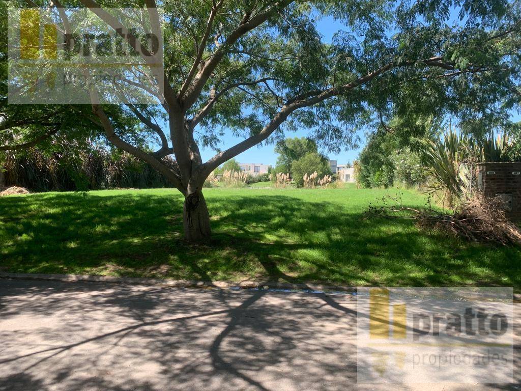 Foto de Lote en venta en El Canton Norte, imagen 3