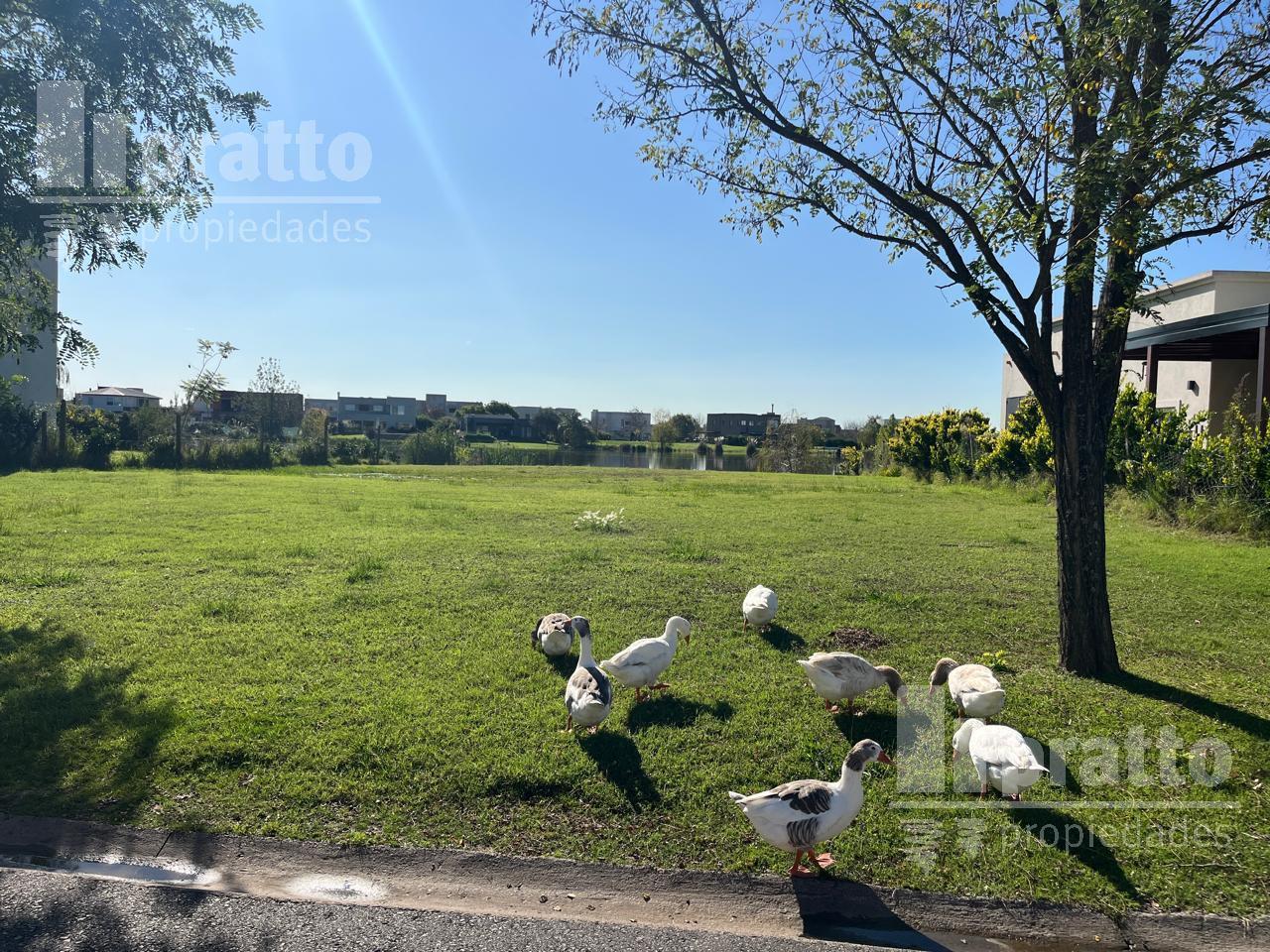 Foto de Lote en venta en El Canton Islas a la laguna, imagen 2