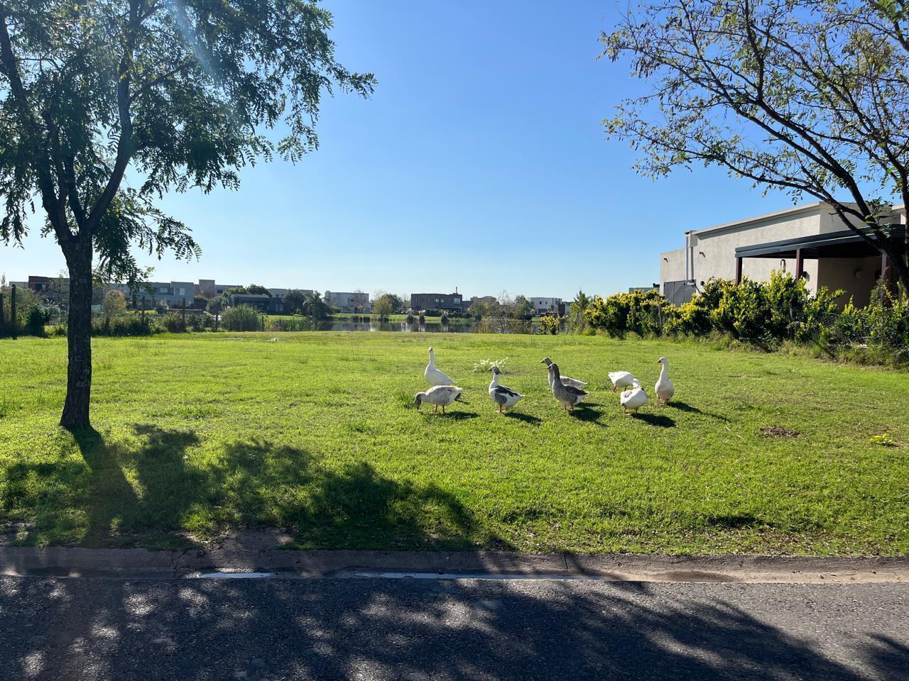 Foto de Lote en venta en El Canton Islas a la laguna, imagen 3