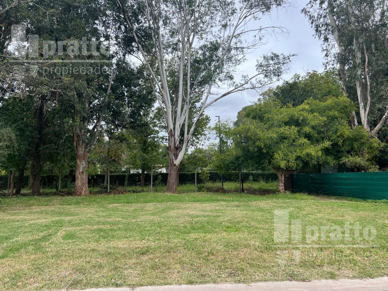 Foto de Terreno en venta en La Reserva, Benavidez, imagen 1