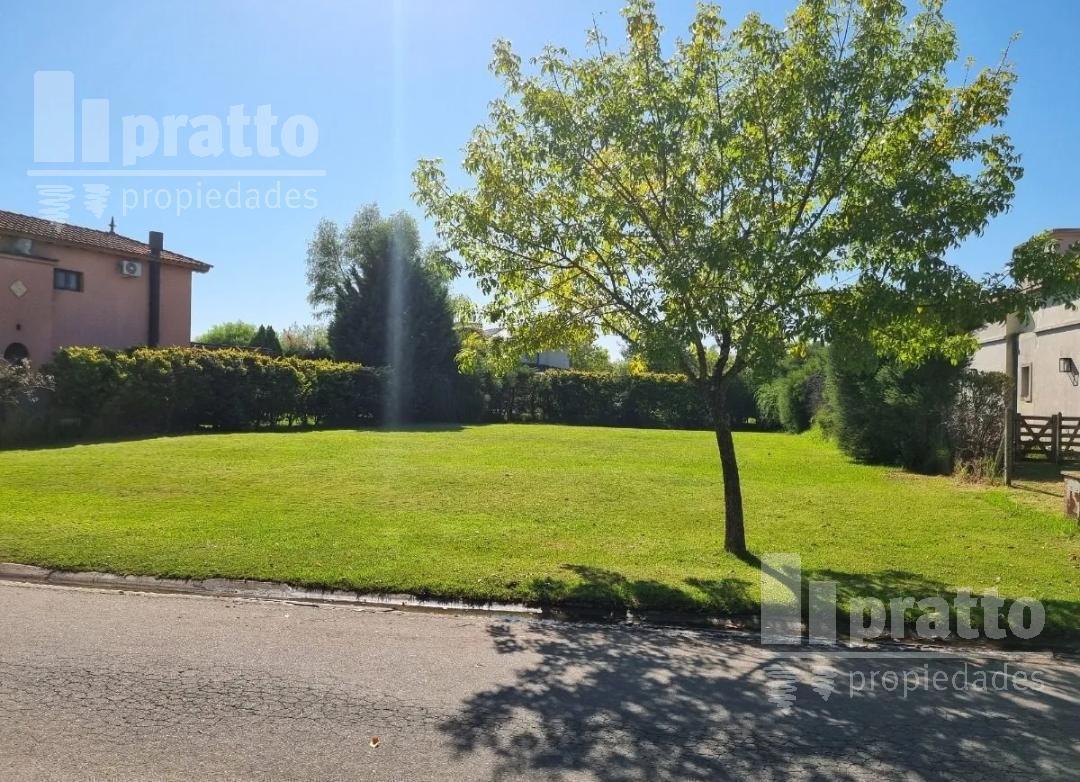 Foto de Lote interno en venta en San Isidro Labrador, imagen 5