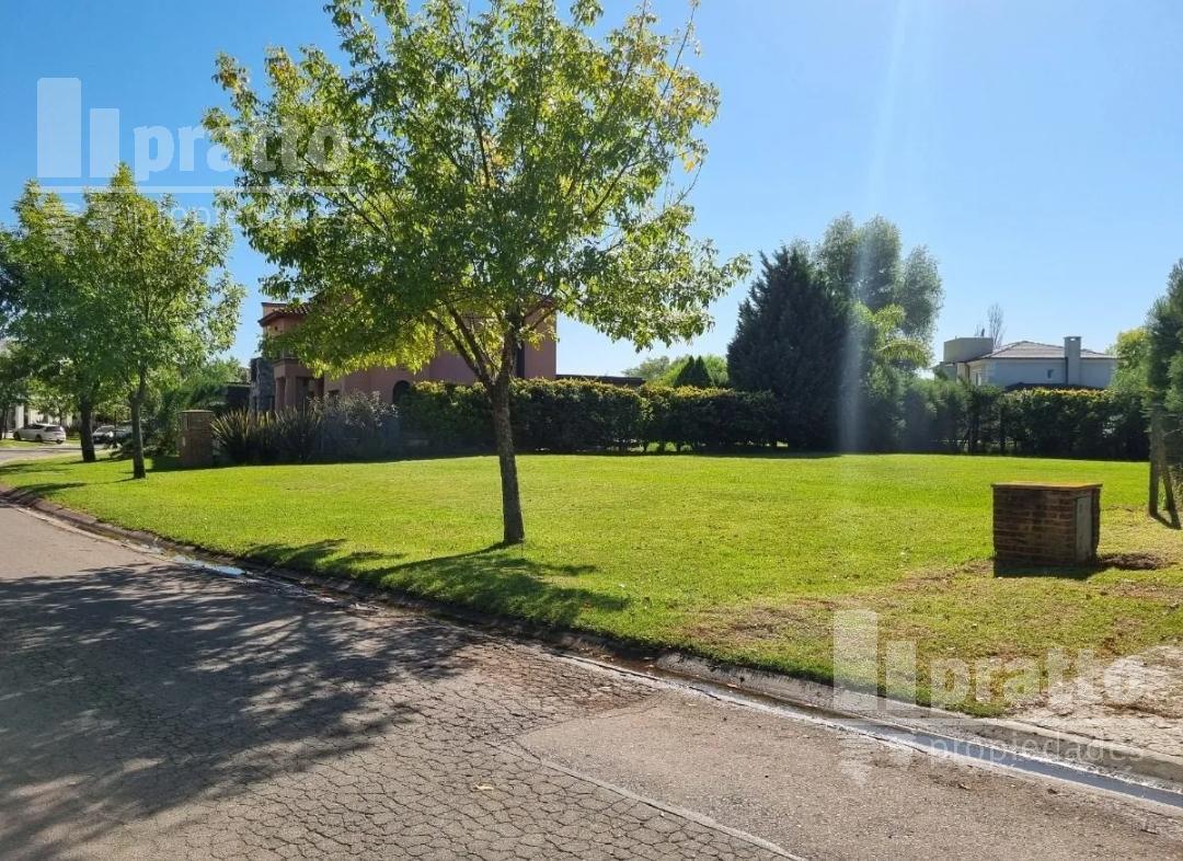 Foto de Lote interno en venta en San Isidro Labrador, imagen 2