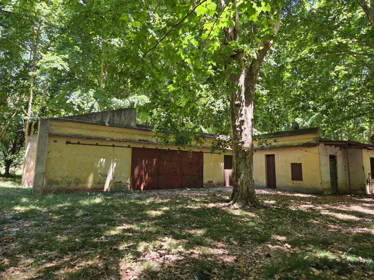 Campo en Pilar 21,87 has. Ideal polo o desarrollo 2
