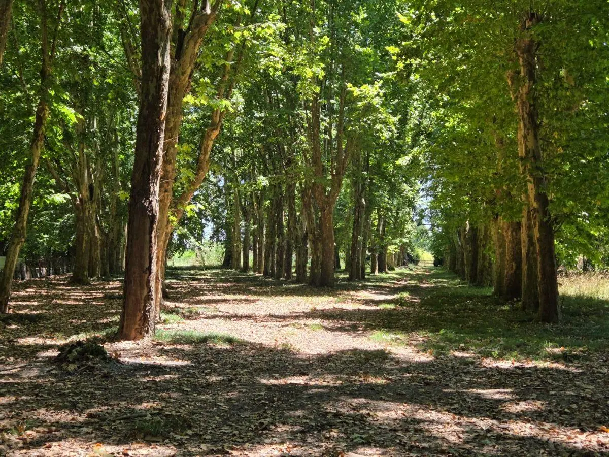 Campo en Pilar 21,87 has. Ideal polo o desarrollo 4