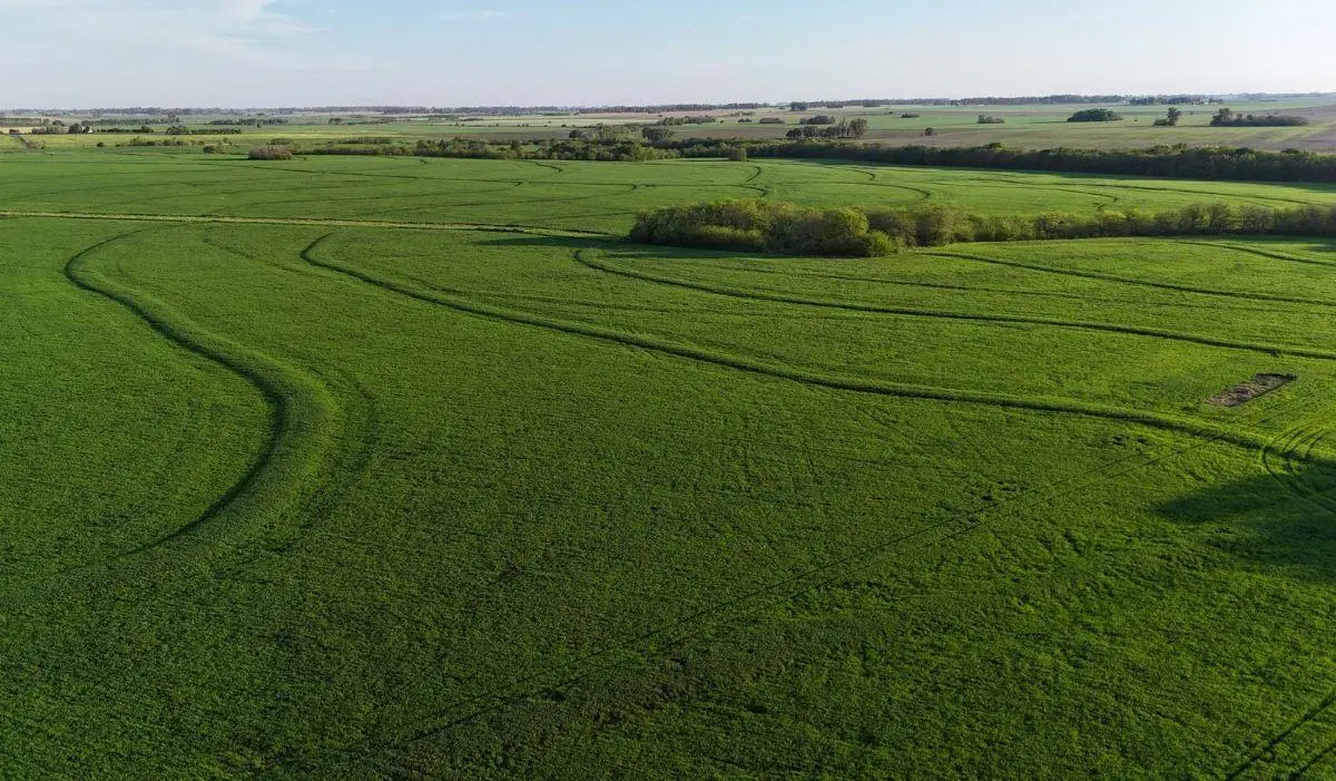 Campo agricola en venta en Capitan Sarmiento. 340 has 4