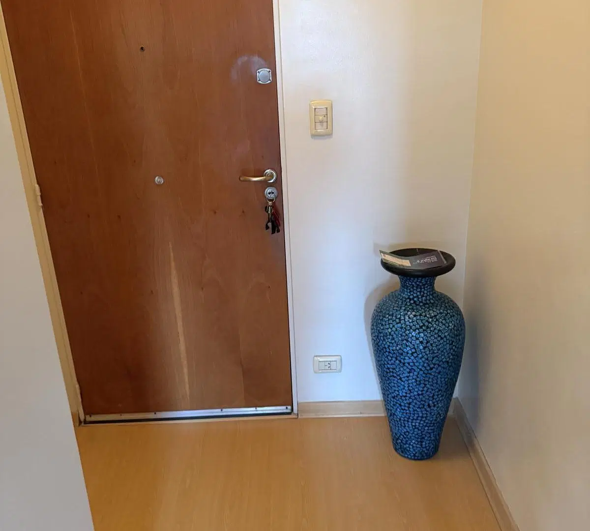 Departamento de 3 dormitorios sobre Libertador con vista al río! 3