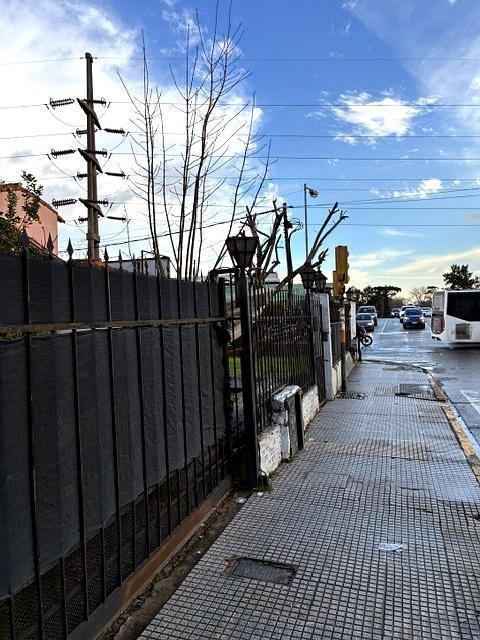 Foto de Terreno en Thames y Colectora, imagen 1