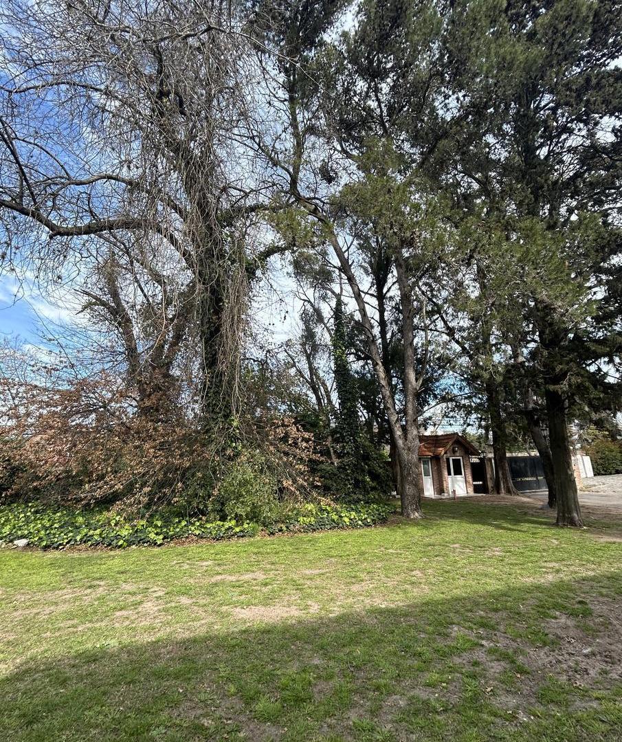 Foto de Terreno en Santa Rita, imagen 3