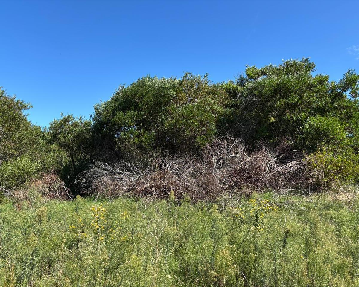 Terreno en Venta en Costa Esmeralda 1