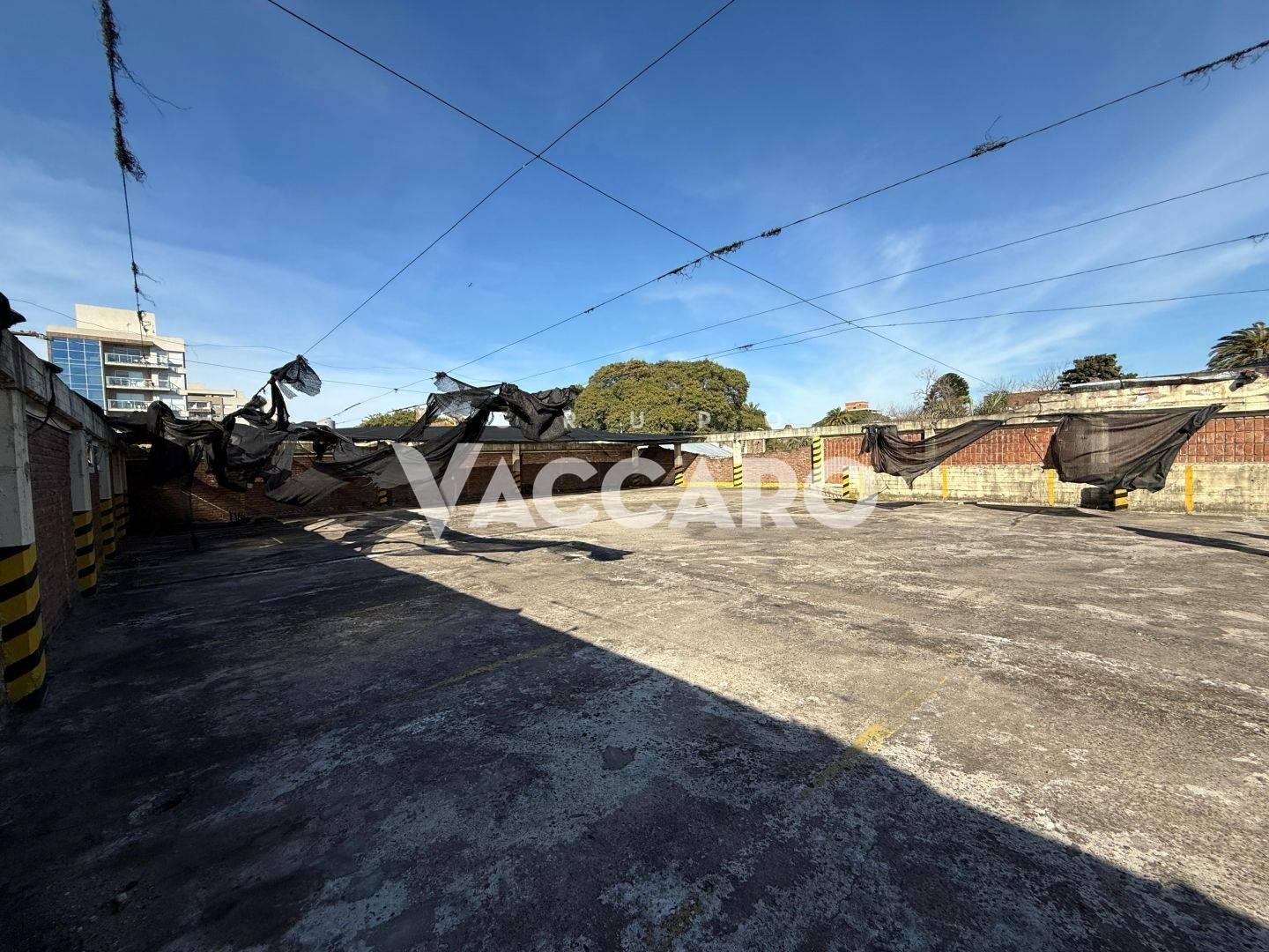Foto de Lote en alquiler en Ituzaingó con edificación, imagen 3