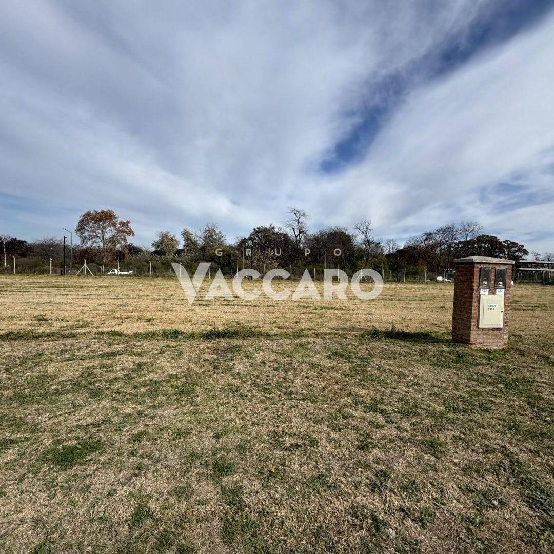 Foto de Lote en venta en bella vista Joven!, imagen 1