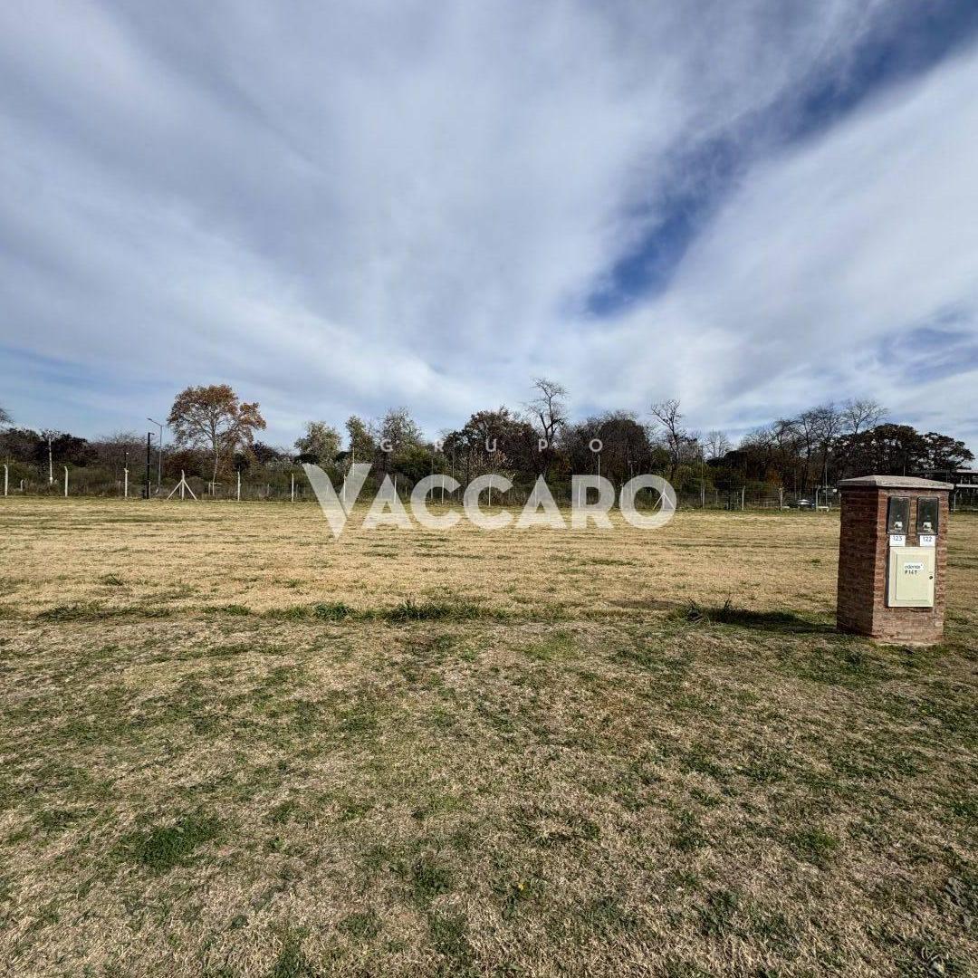Foto de Lote en venta en bella vista Joven!, imagen 3