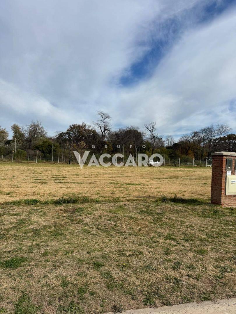 Foto de Venta de Lote en Bella Vista, San Miguel, imagen 3