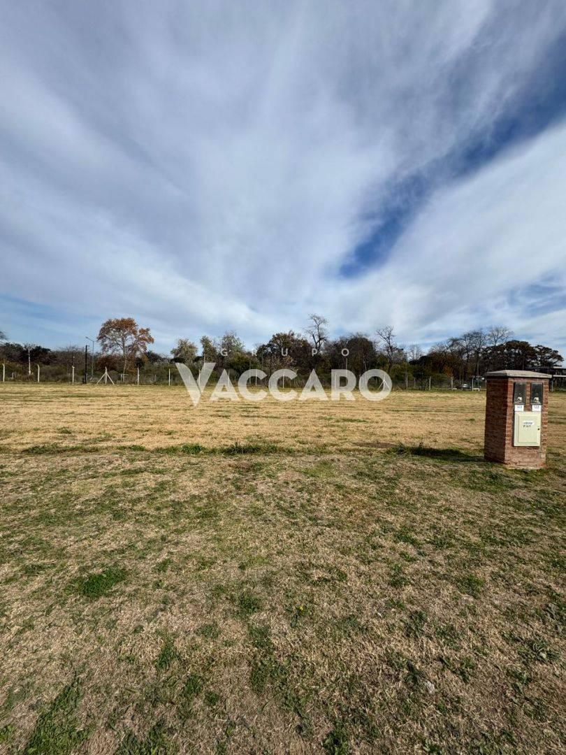 Foto de Venta de Lote en Bella Vista, San Miguel, imagen 1