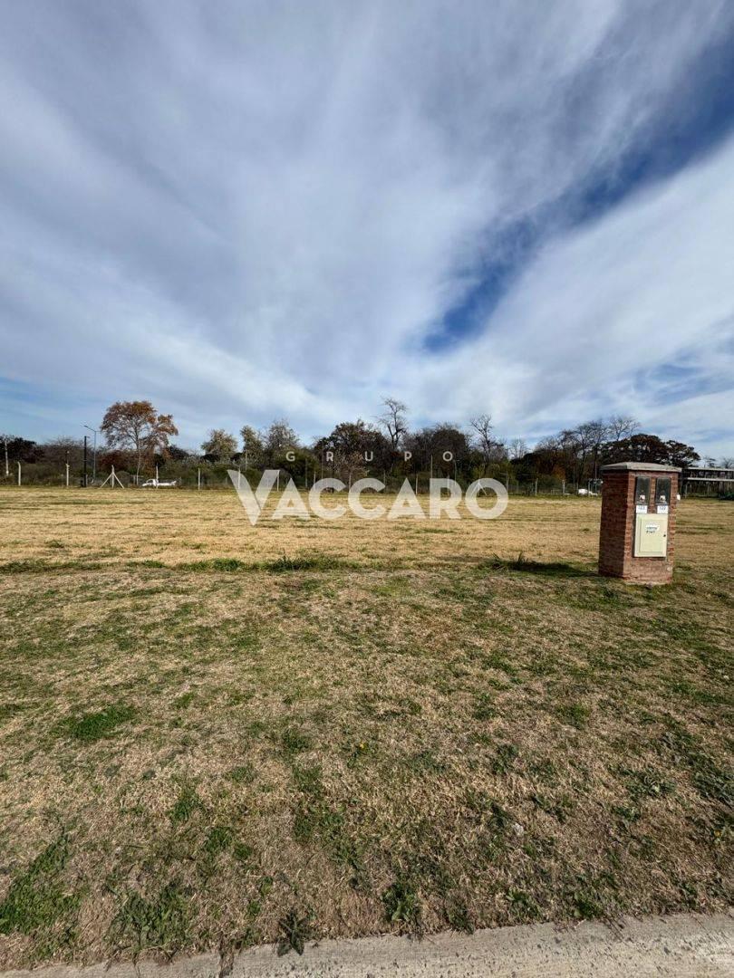 Foto de Venta de Lote en Bella Vista, San Miguel, imagen 4