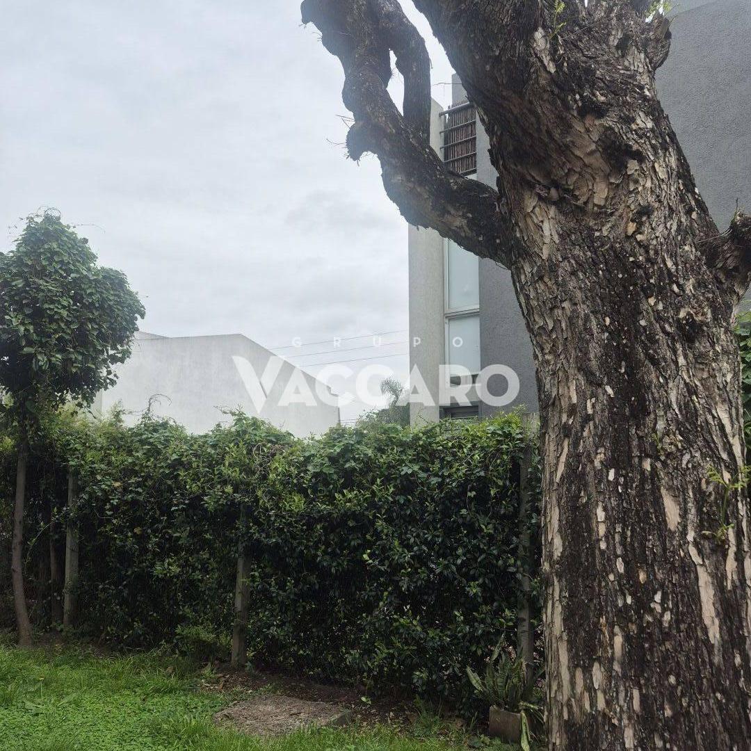 Foto de VIVA + Departamento 3 ambientes con jardín propio, placards, caldera, imagen 4