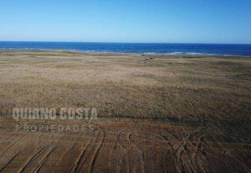 Campo en Venta en Mar del Sur, Sobre La Playa 4