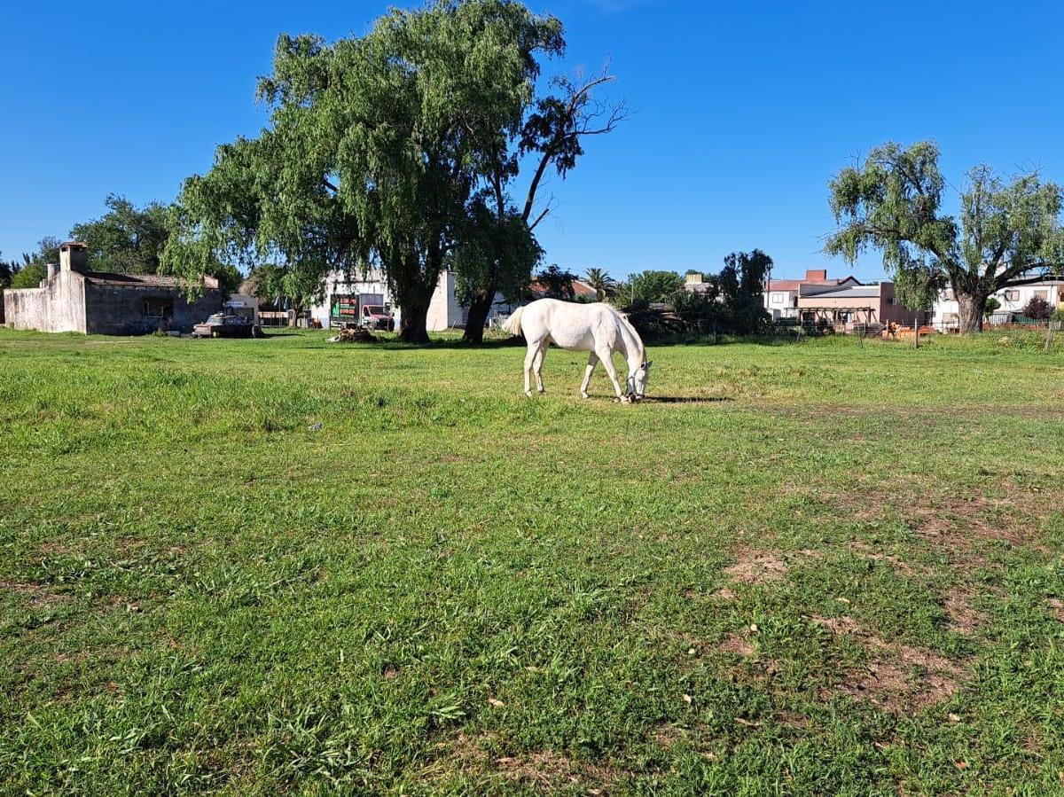 Terreno en Venta en San Antonio de Areco 3