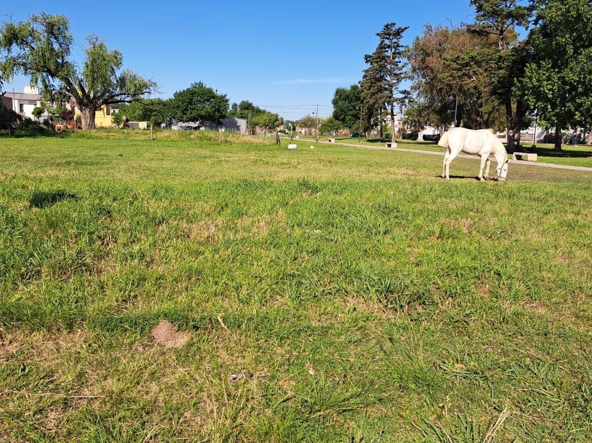 Terreno en Venta en San Antonio de Areco 2