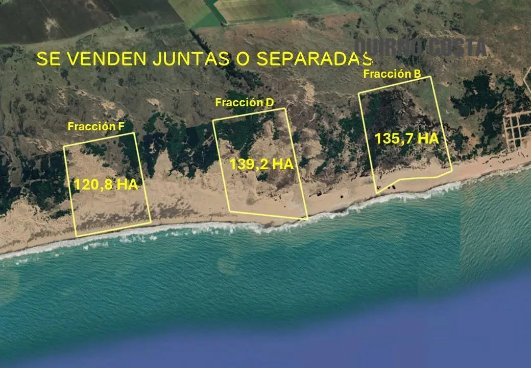Campos con frente al Mar  Tres Arroyos 139,2 Ha 5