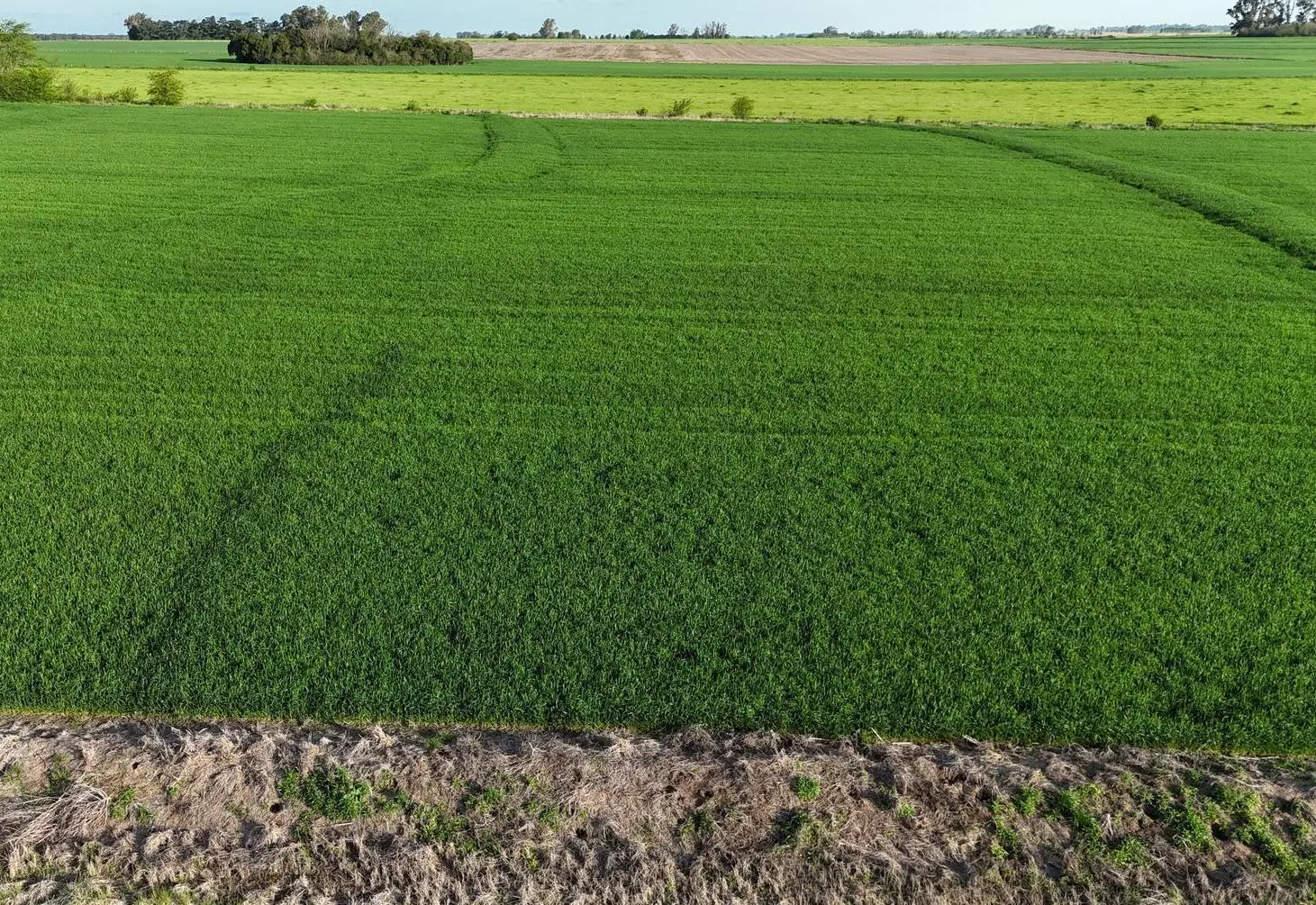 Campo en Capitan Sarmiento 3