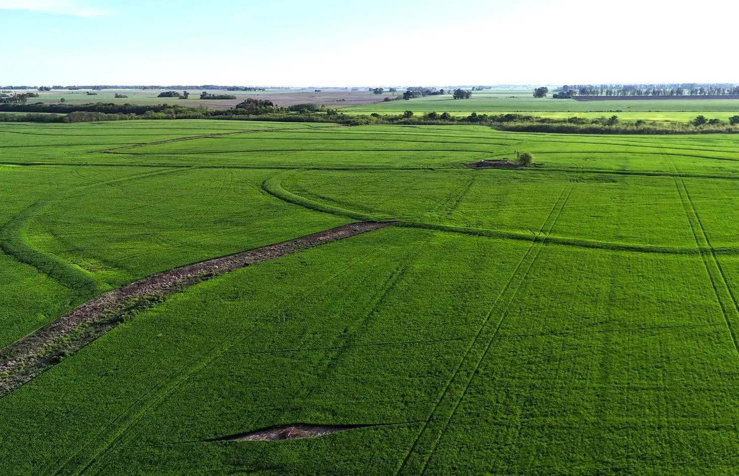Campo en Capitan Sarmiento 2