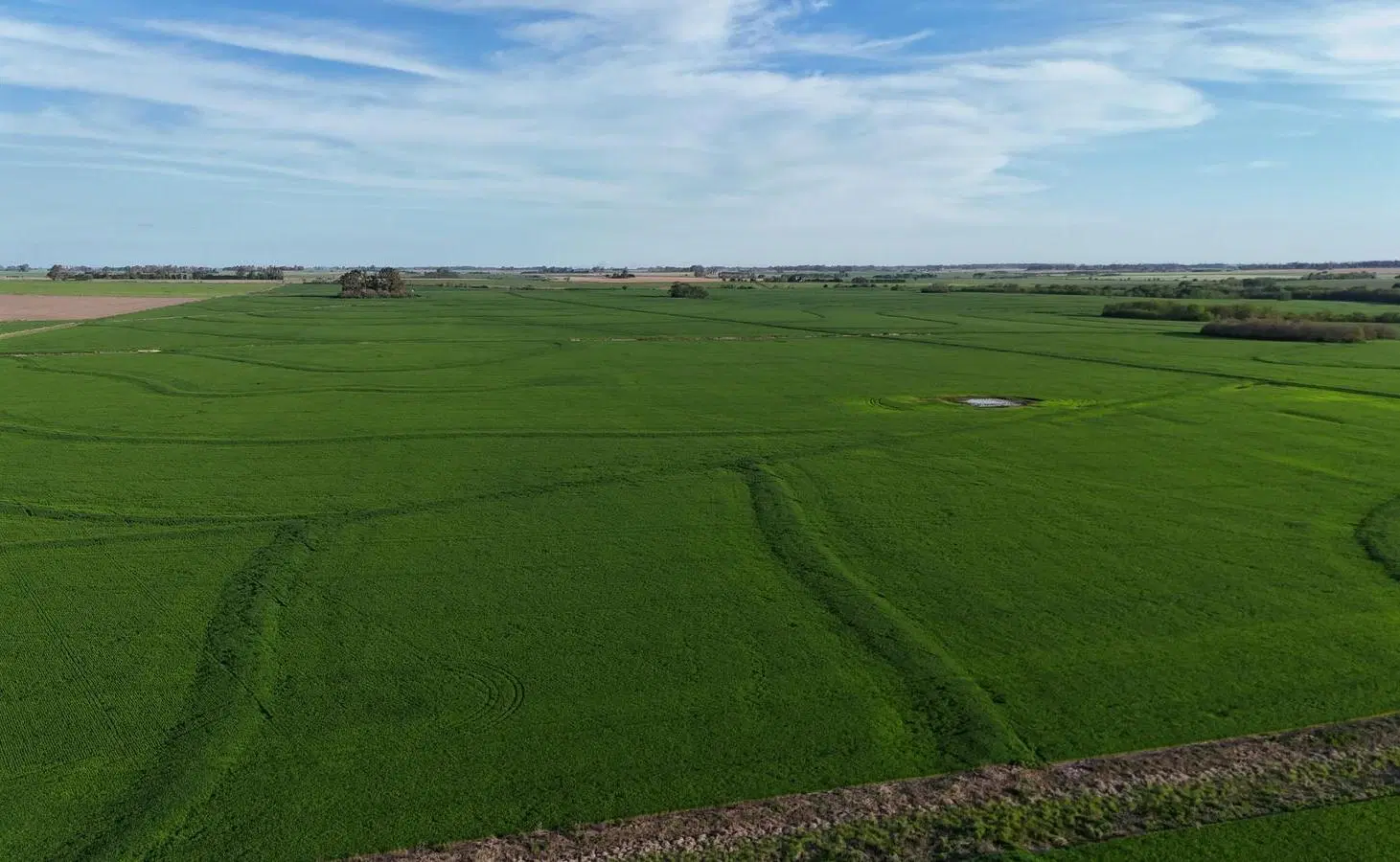 Campo en Capitan Sarmiento 4