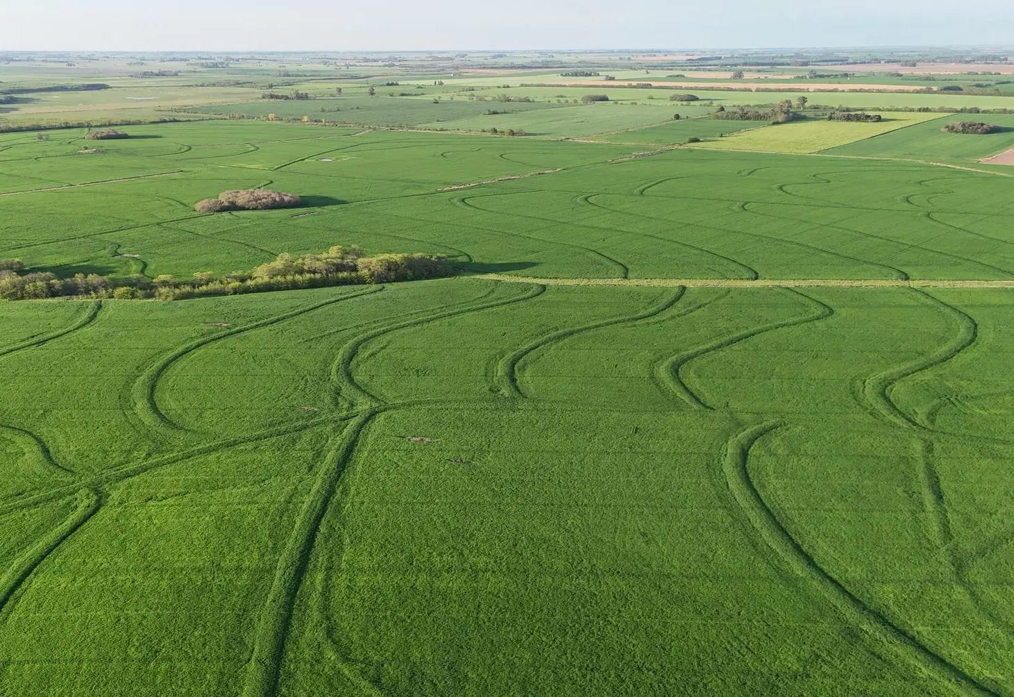 Campo en Capitan Sarmiento 1