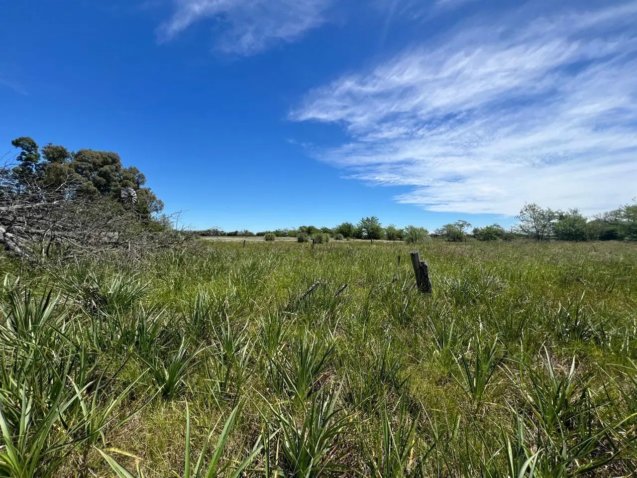 Chacra en venta Navarro 3,15 ha a 5 km del centro de Navarro 5