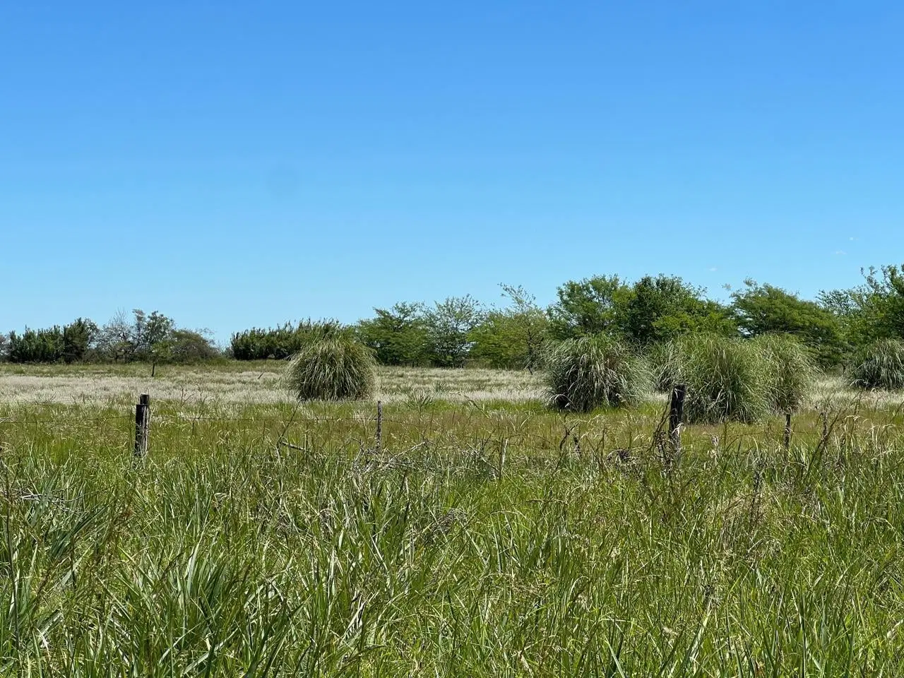 Chacra en venta Navarro 3,15 ha a 5 km del centro de Navarro 3