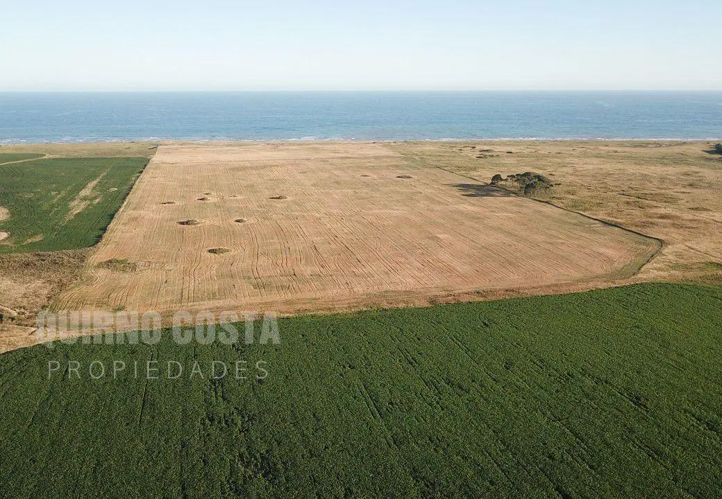 Campo en Venta en Mar del Sur, sobre la playa 2