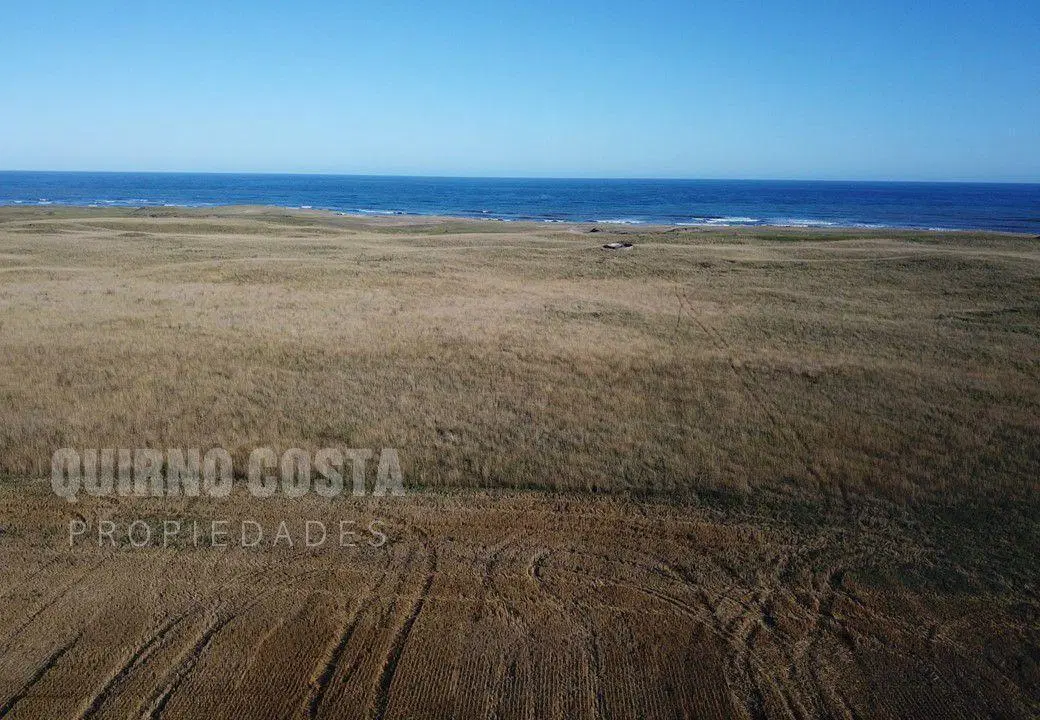 Campo en Venta en Mar del Sur, sobre la playa 5