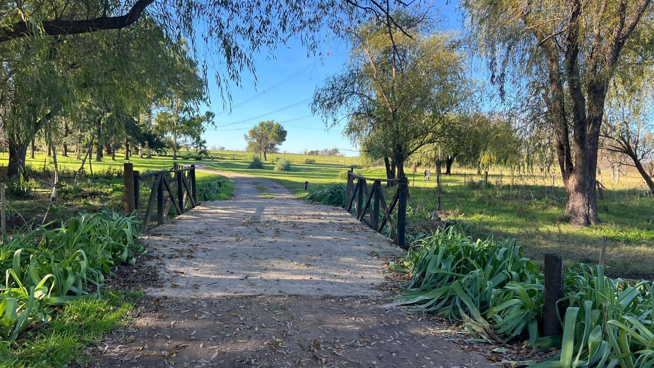 Chacra de polo en Lujan 9 has con caballerizas