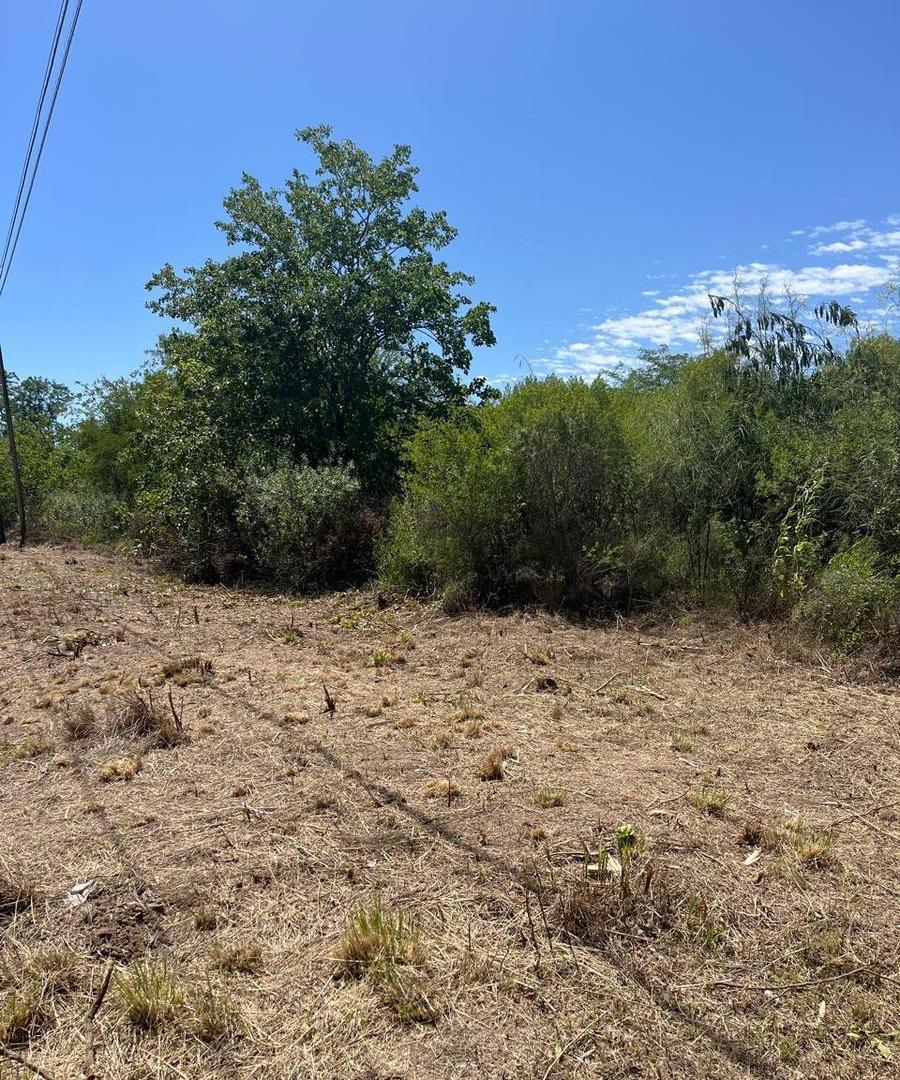 Foto de Terreno en venta en Lujan, imagen 5