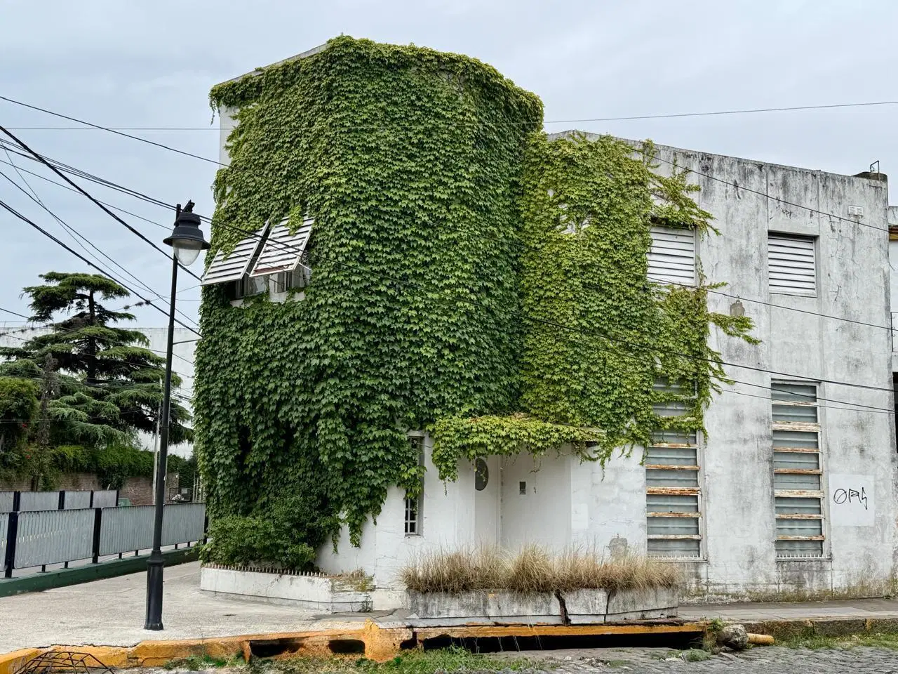 Terreno/departamento con local/deposito en San Isidro en venta 2