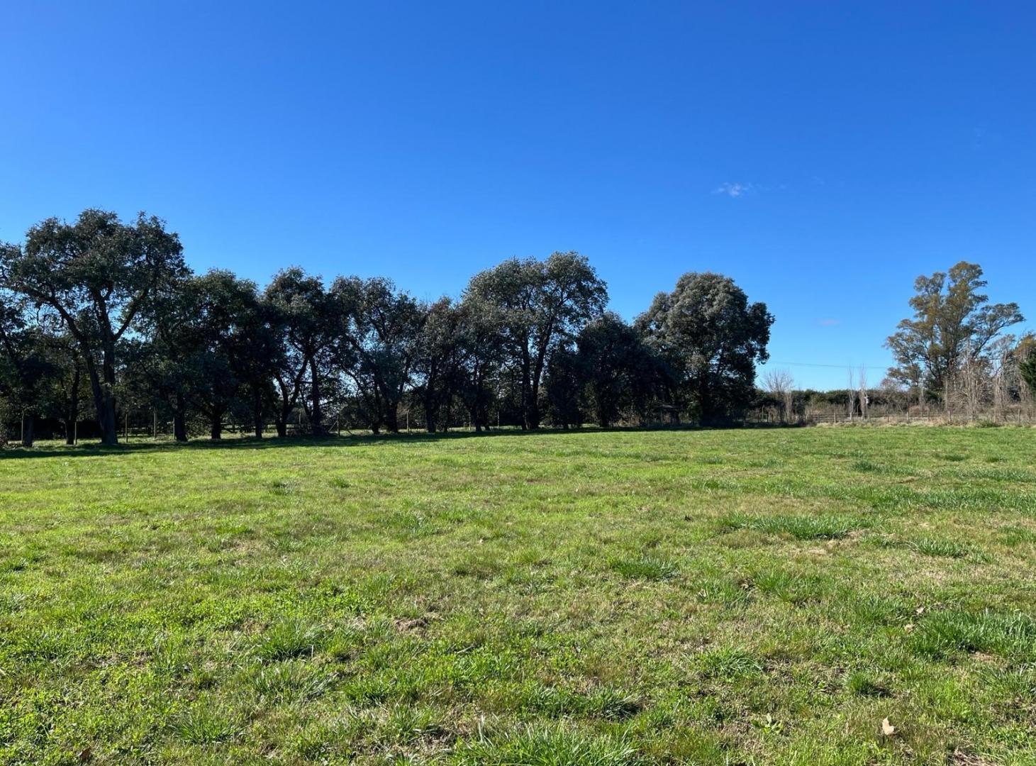 Foto de Terreno en venta - Lujan - Barrio Privado La Colina Villa de Campo, imagen 5