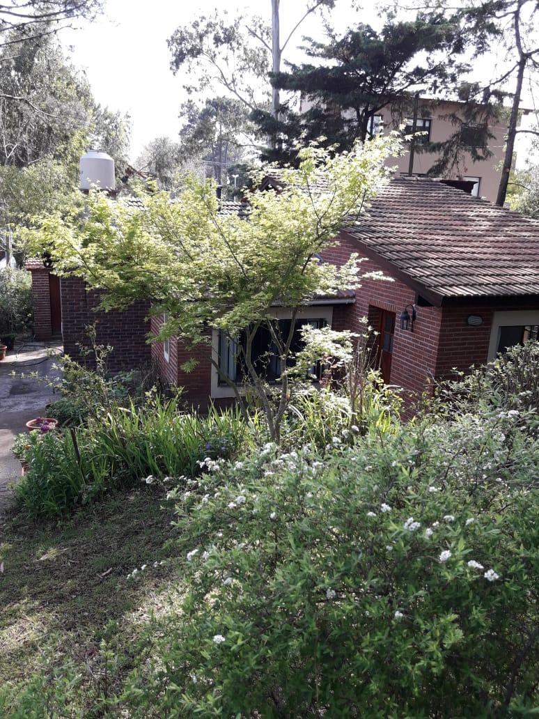 Foto de Alquiler Valeria del Mar Verano, imagen 2
